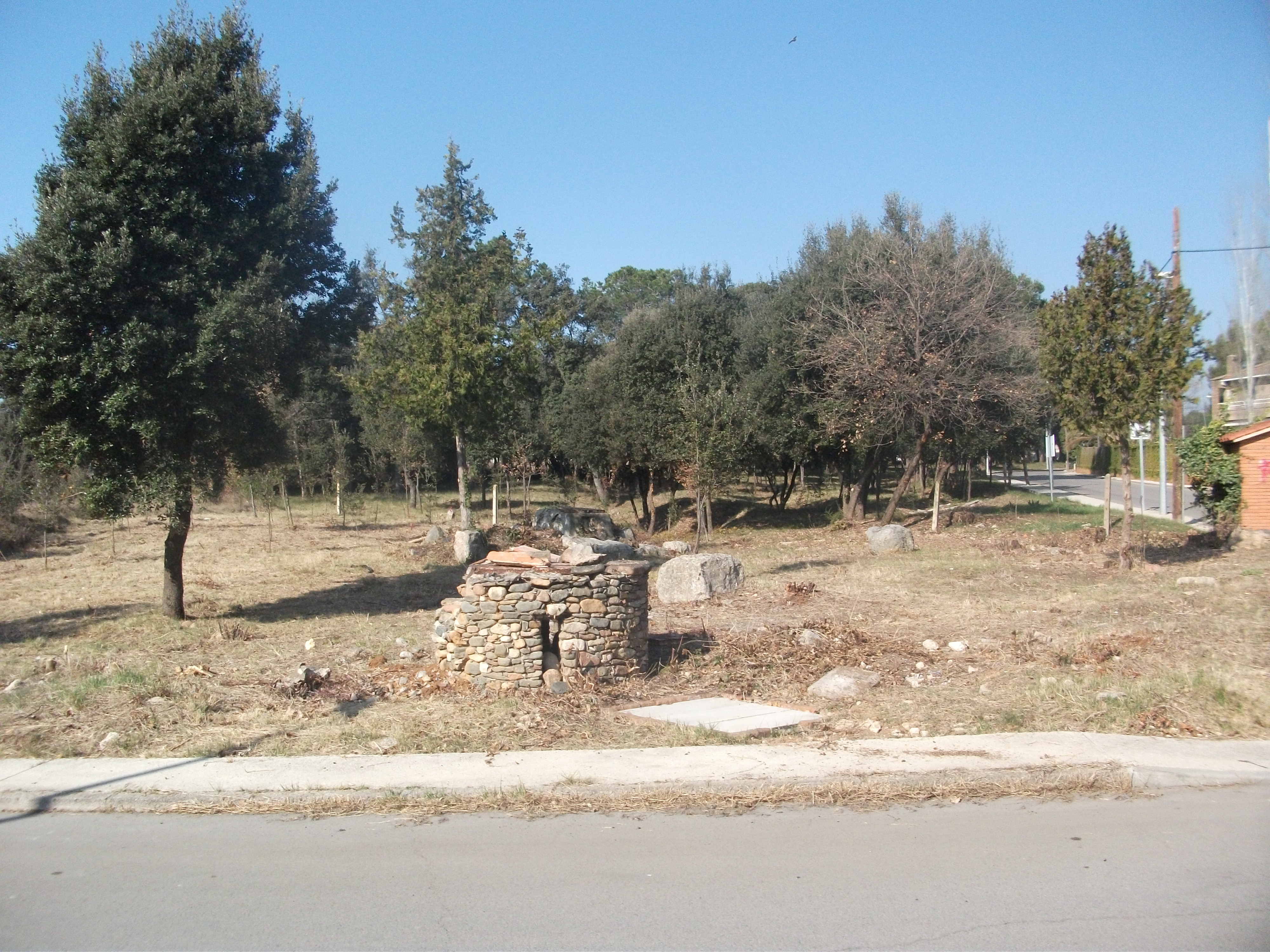 Pinar de Rosanes 