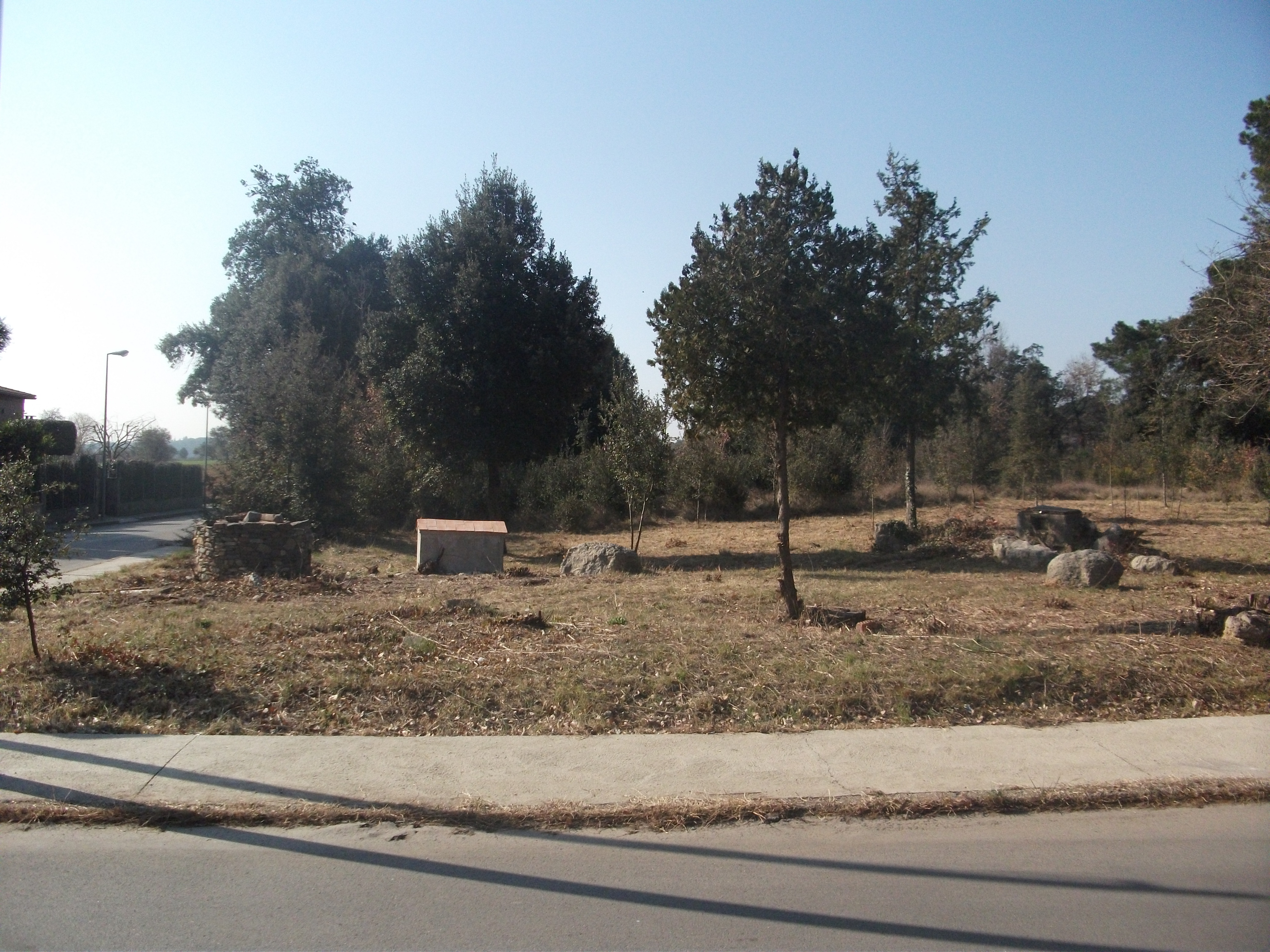 Pinar de Rosanes 